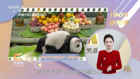 国产午夜精品尤物福利视频